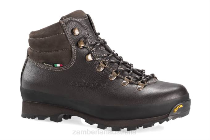 Zamberlan Footwear Brown Men ULTRA LITE GTX RR 88TJ25