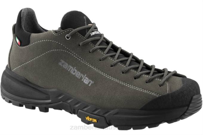 Zamberlan Footwear Dark Grey Men FREE BLAST GTX 88TJ10