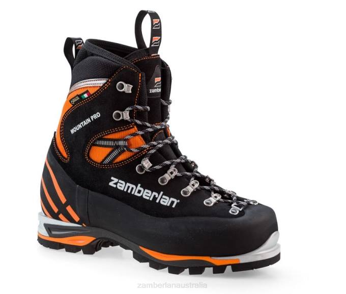 Zamberlan Footwear Black Men MOUNTAIN PRO EVO GTX RR PU 88TJ83