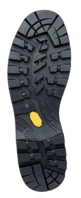 Zamberlan Footwear Lavender Women MOUNTAIN PRO EVO GTX RR WNS 88TJ167